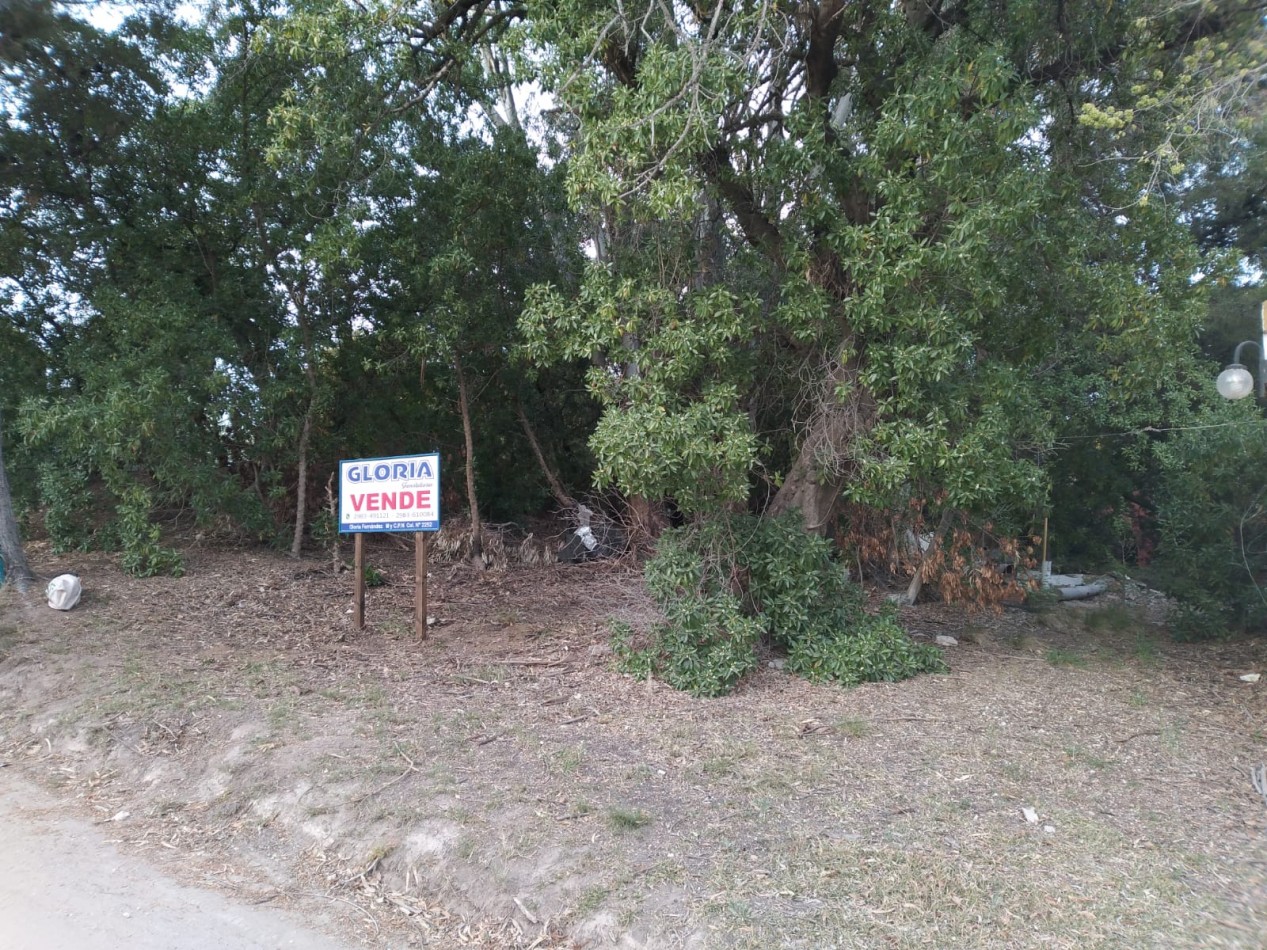 ¡Oportunidad sobre la arteria principal del balneario!