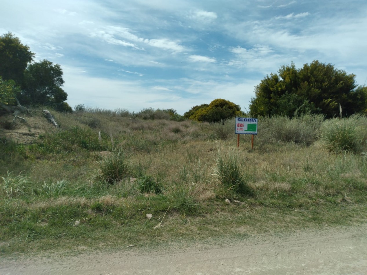 Loteo en Venta con Vista al Rio - Ideal para Emprendimientos Turisticos o Recreativos