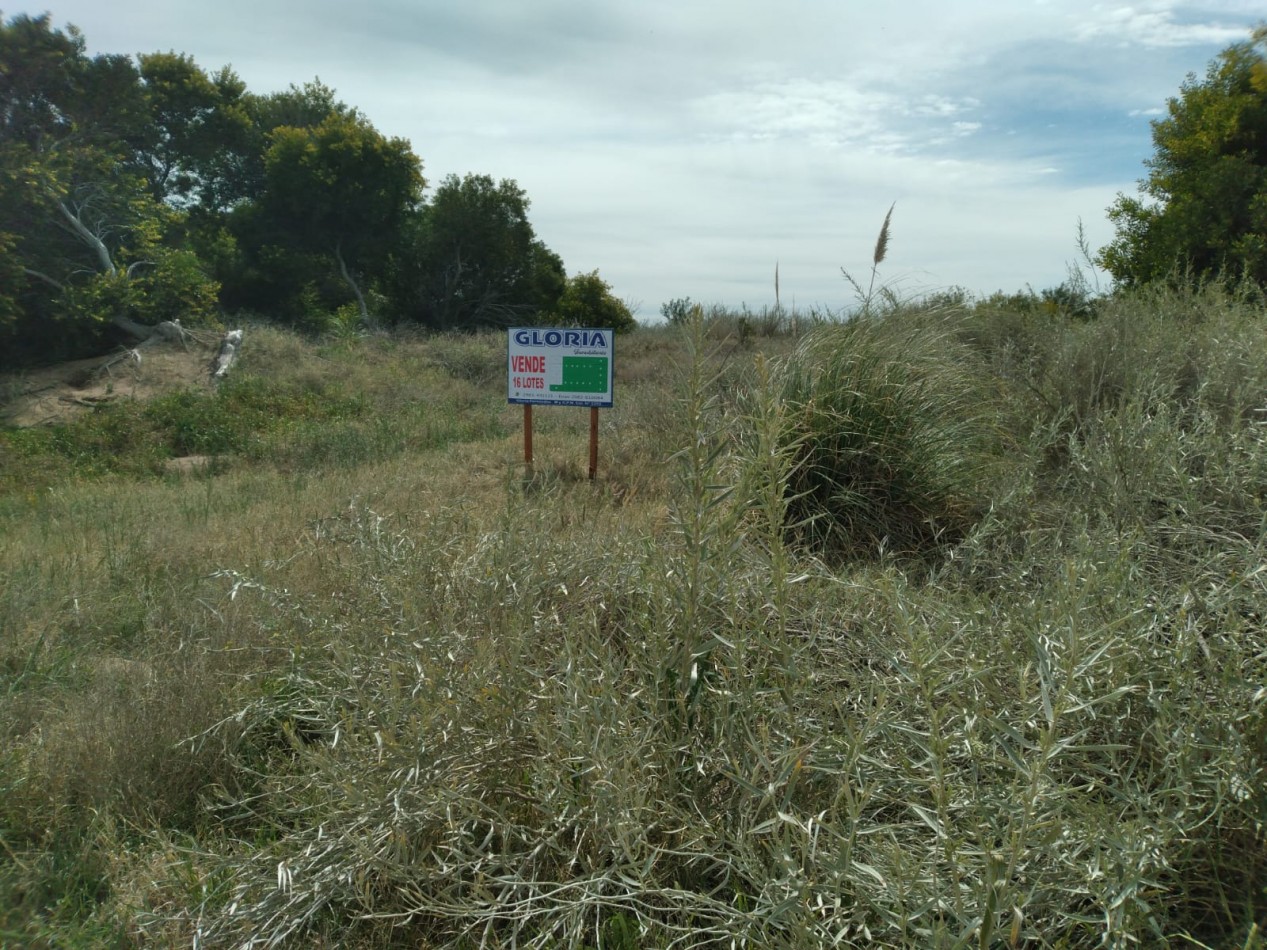 Loteo en Venta con Vista al Rio - Ideal para Emprendimientos Turisticos o Recreativos