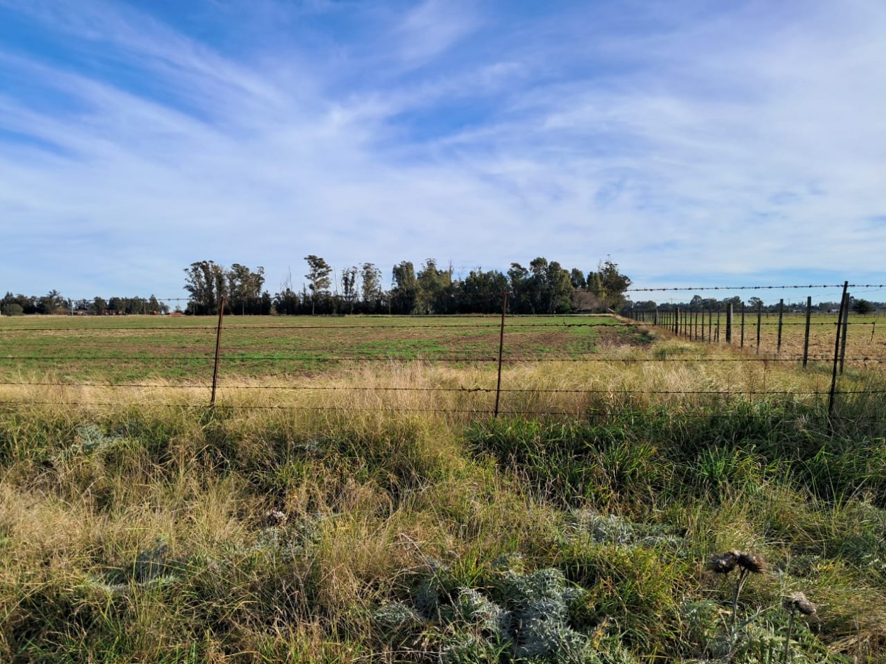 Casa quinta con tierras fertiles a minutos del mar y el rio