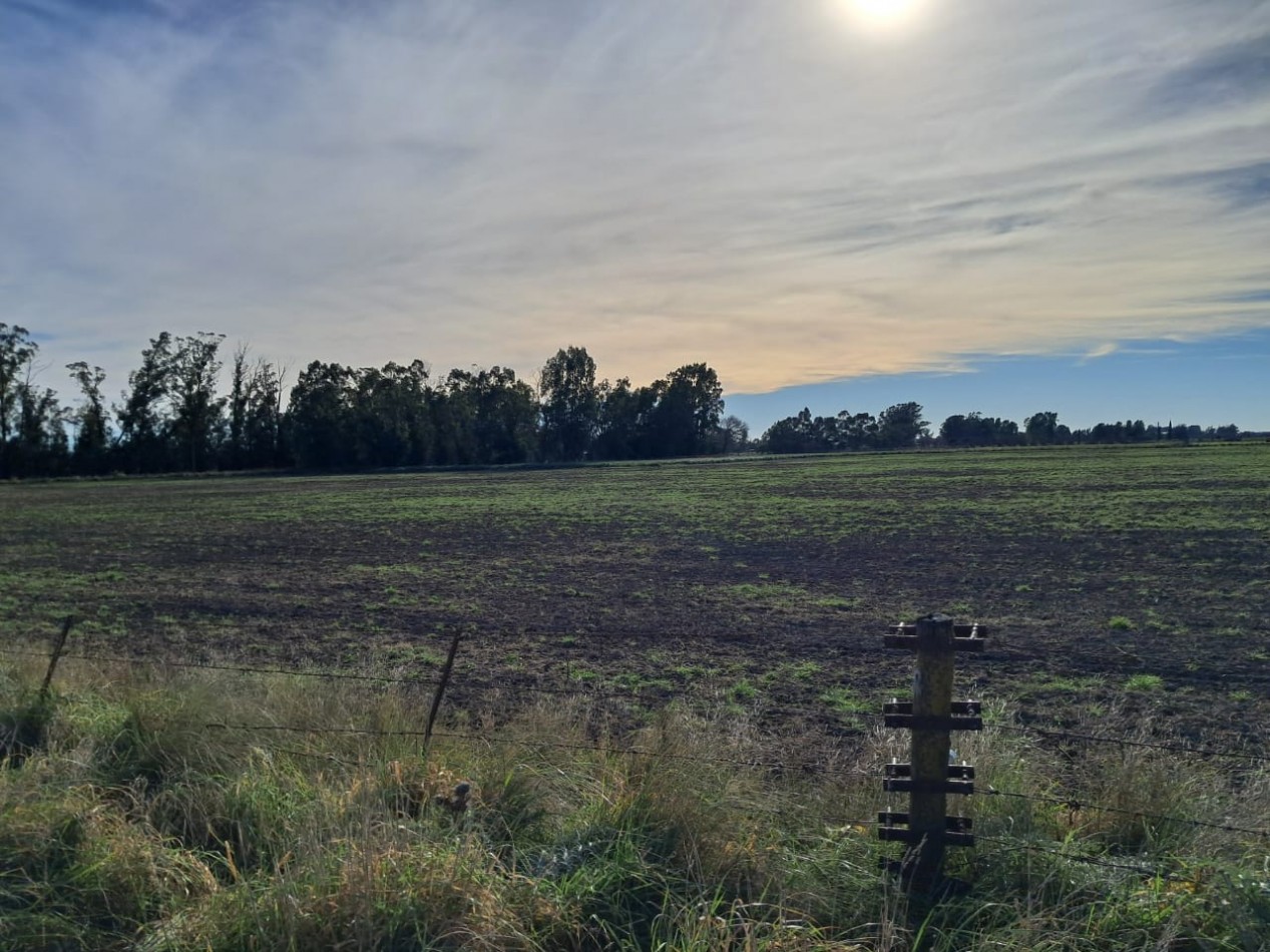 Casa quinta con tierras fertiles a minutos del mar y el rio