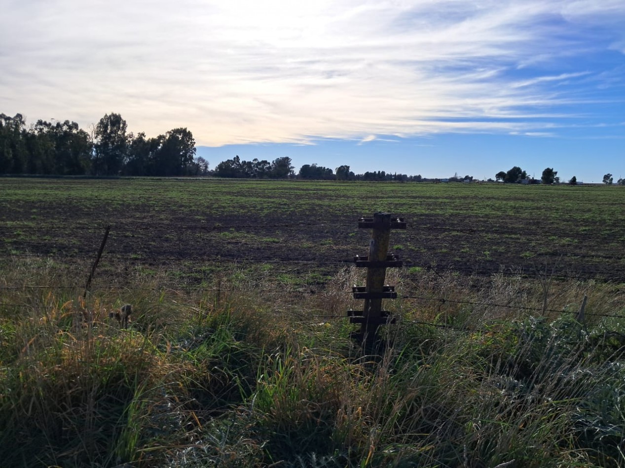 Casa quinta con tierras fertiles a minutos del mar y el rio