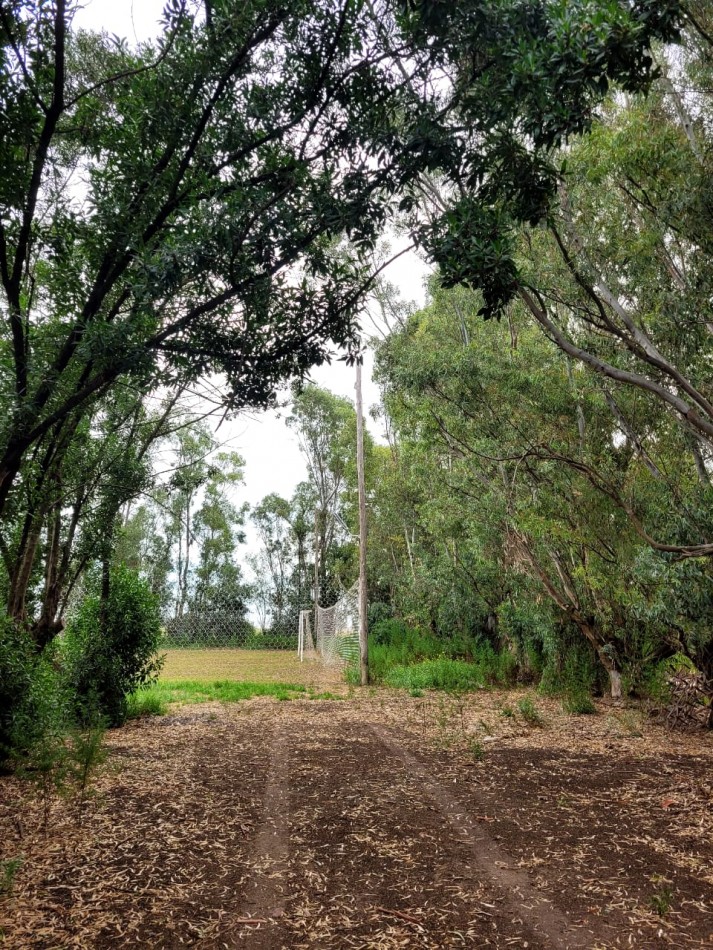 Casa quinta con tierras fertiles a minutos del mar y el rio