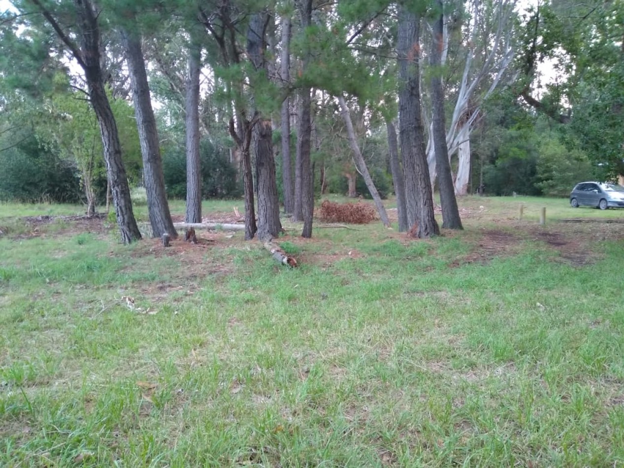 Oportunidad unica en Balneario Marisol: camping de 16 hectareas para  multiples desarrollos 
