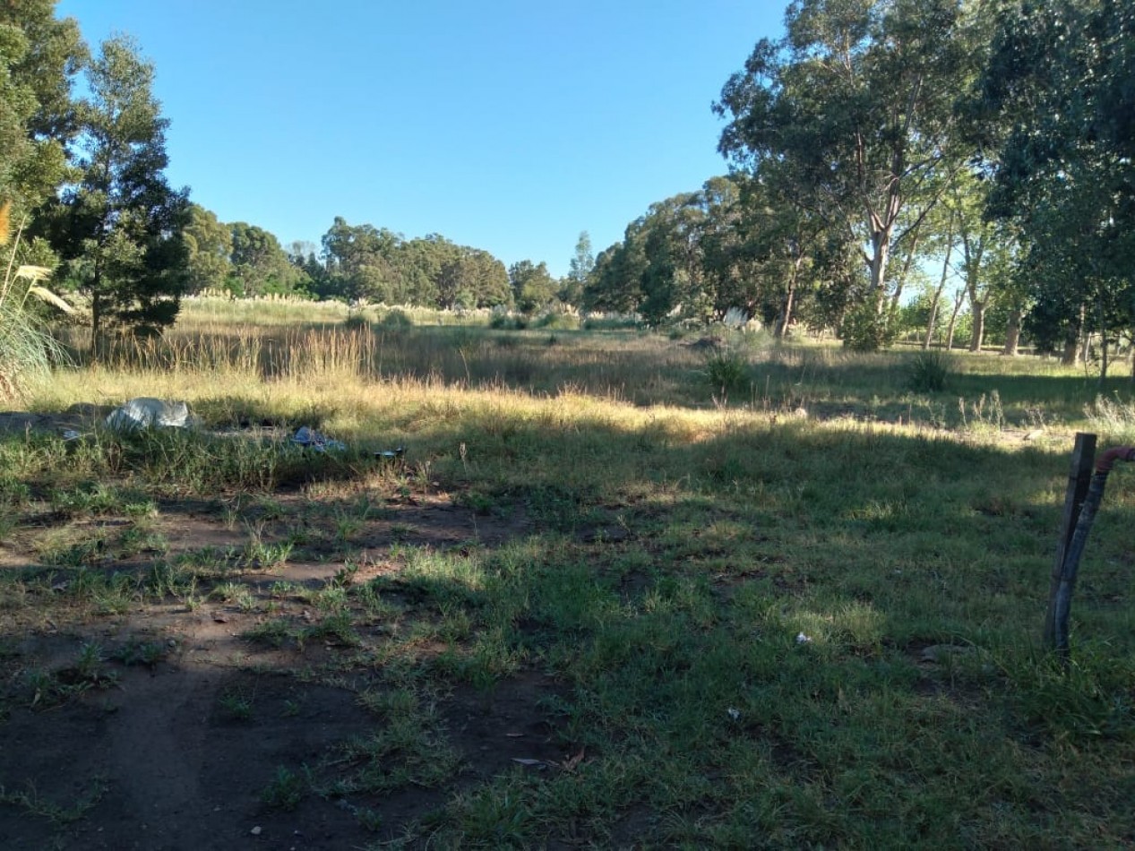 Oportunidad unica en Balneario Marisol: camping de 16 hectareas para  multiples desarrollos 