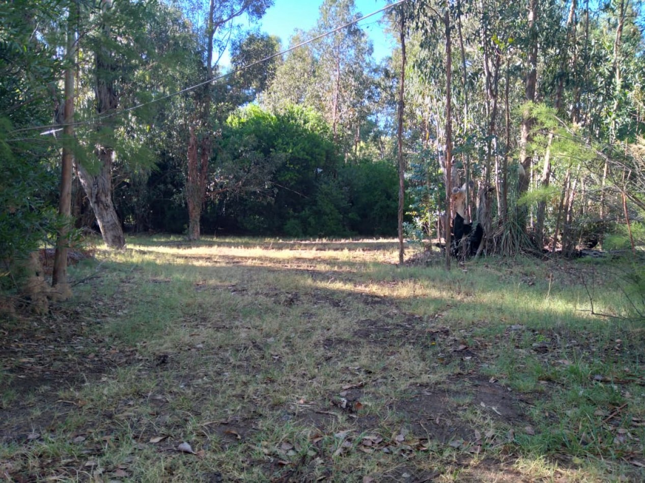 Oportunidad unica en Balneario Marisol: camping de 16 hectareas para  multiples desarrollos 