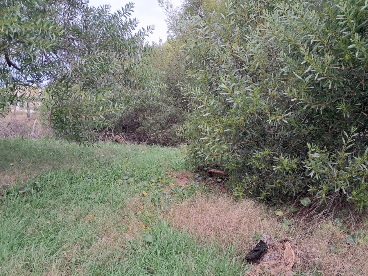 Un refugio, cerca del mar. Venta de vivienda