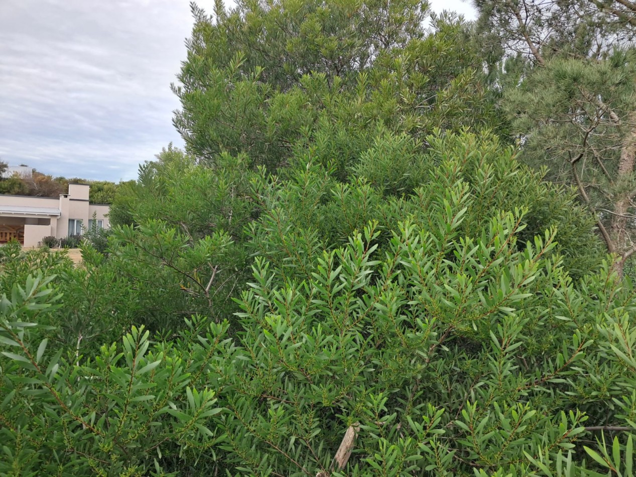 Lote Estrategico para Inversores: Vivienda, Turismo o Comercio