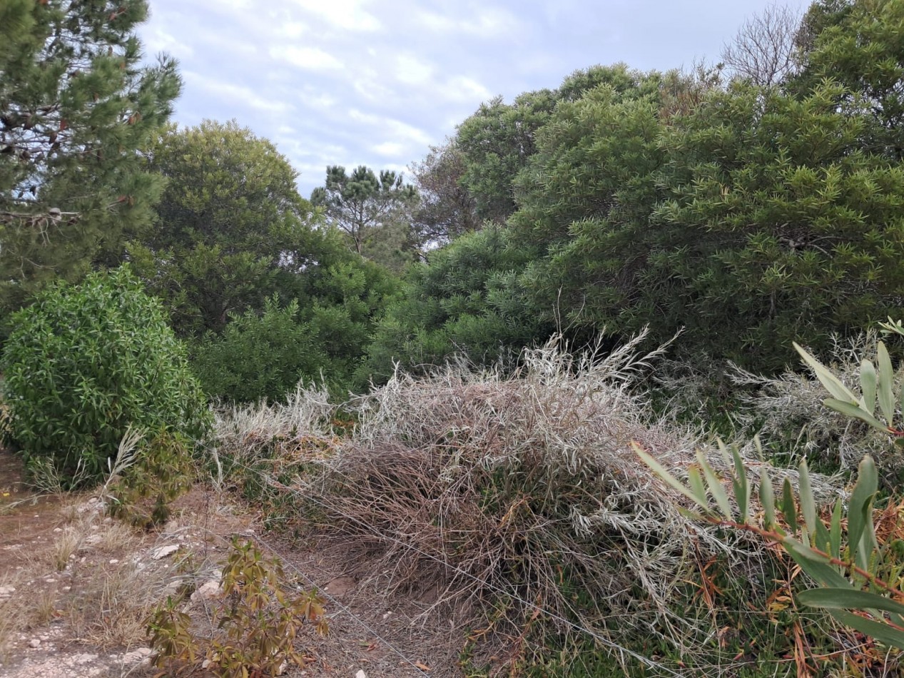 Lote Estrategico para Inversores: Vivienda, Turismo o Comercio