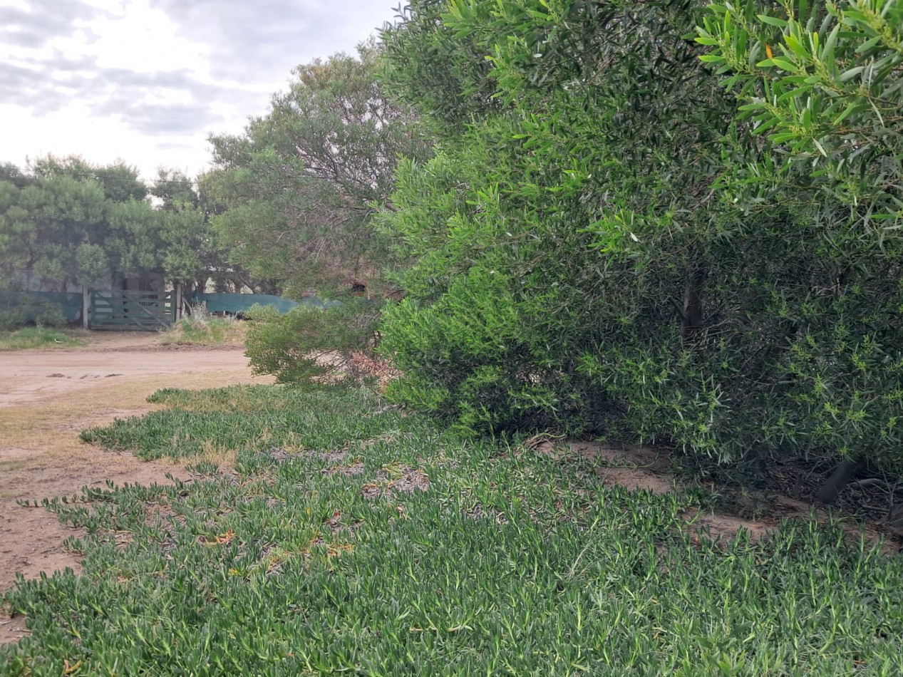 Lote Estrategico para Inversores: Vivienda, Turismo o Comercio