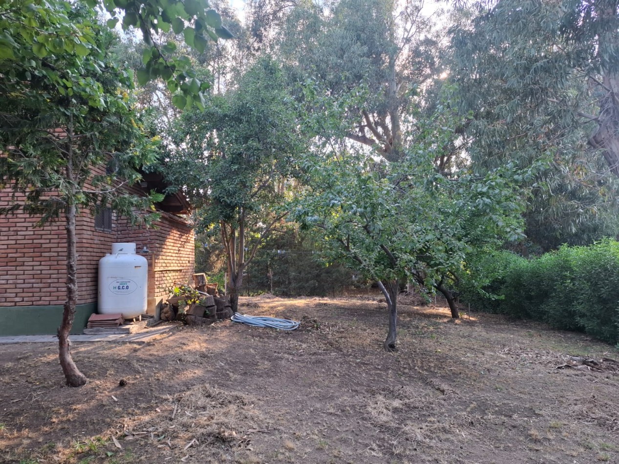 Cabaña y parque todo en uno