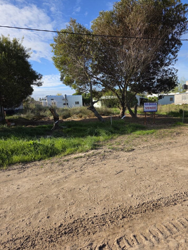  AMPLIO LOTE FORESTADO EN UNA UBICACION IDEAL