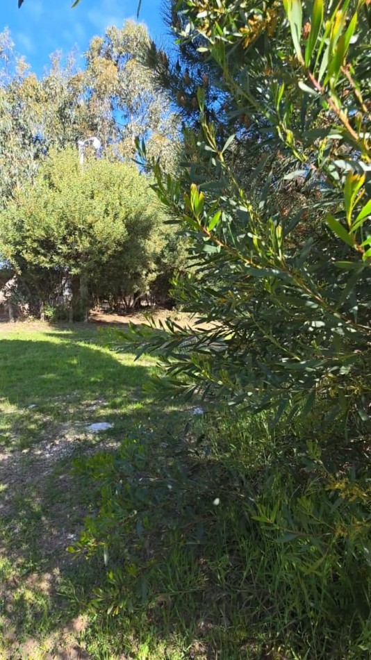 CASA CON ENCANTO NATURAL