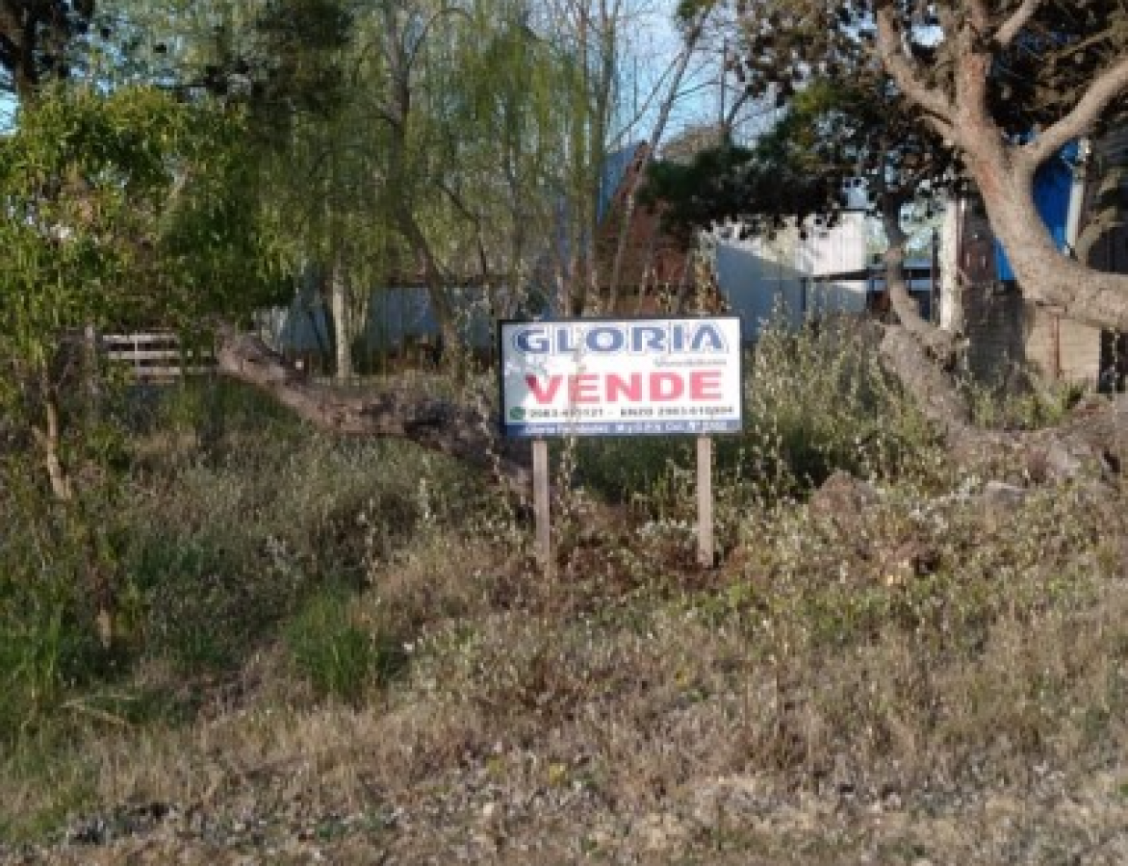 UN LOTE CON ENCANTO, NATURALEZA Y TRANQUILIDAD