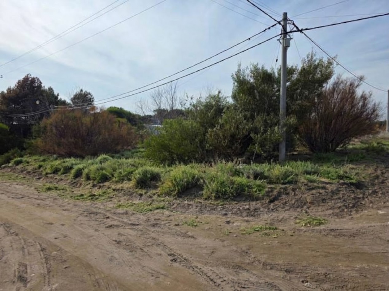 DOS LOTES JUNTOS EN UNA UBICACION PRIVILEGIADA