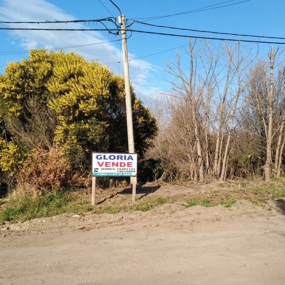 DOS LOTES JUNTOS EN UNA UBICACION PRIVILEGIADA