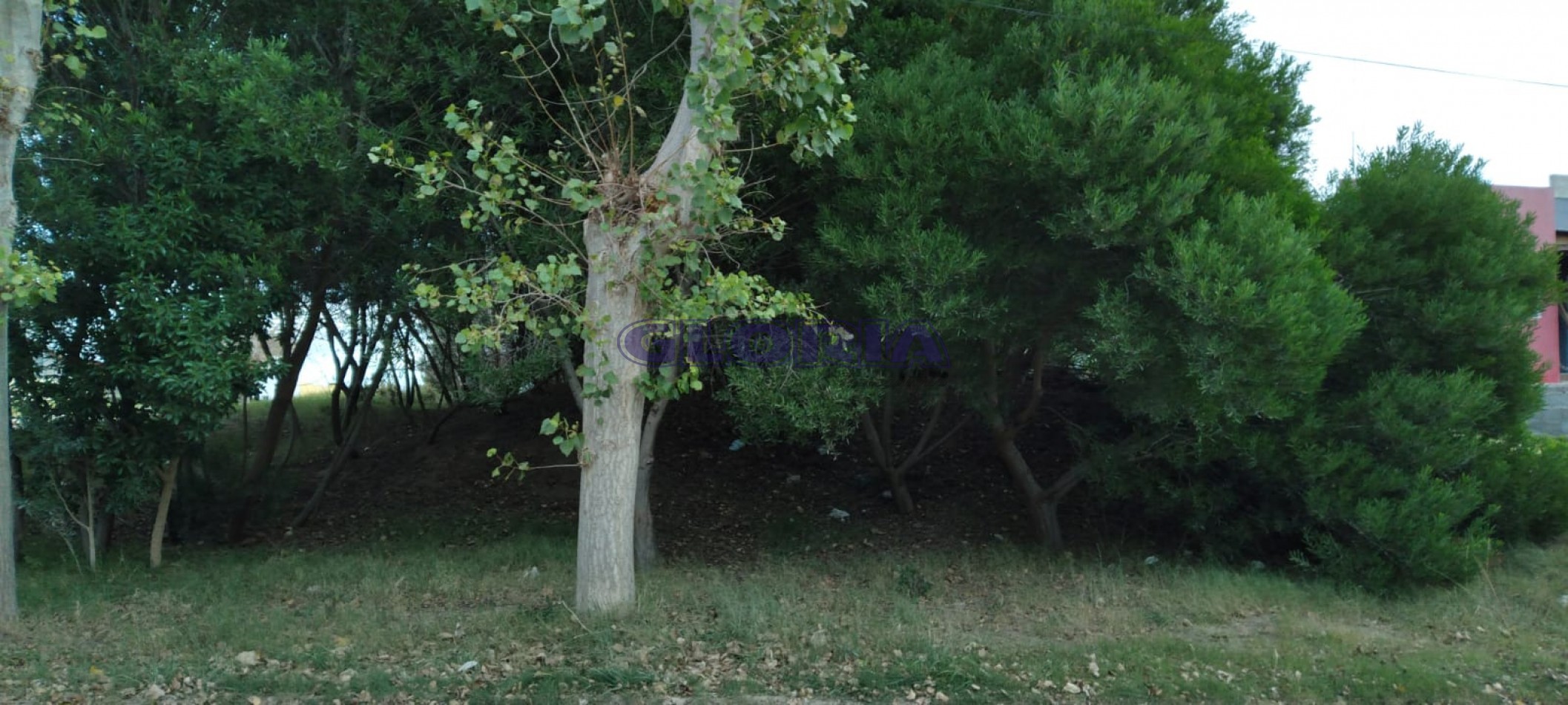 Lote esquina en Marisol con Excelente Proyeccion Comercial o residencial