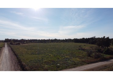 QUINTA EN VENTA "Lo mejor del campo, sin alejarte del pueblo"