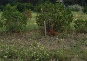 Lote Estrategico en Marisol - A Metros del Mar y Listo para Construir