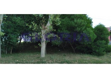 Lote esquina en Marisol con Excelente Proyeccion Comercial o residencial